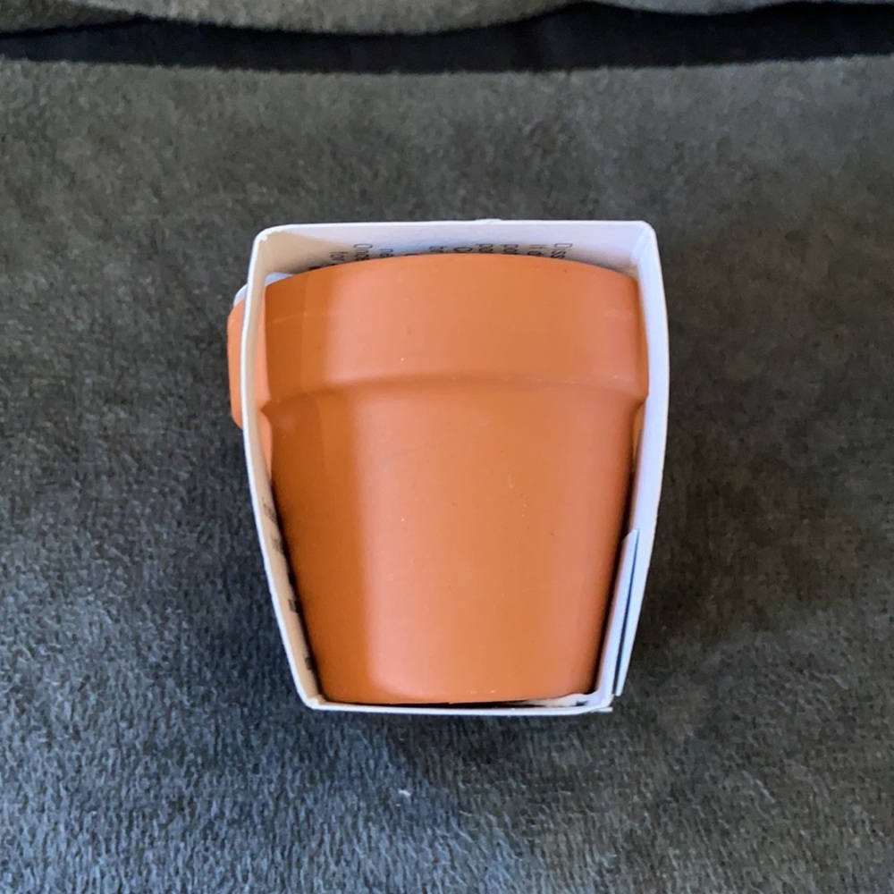 Cactus Grow Kit - Picture 4 of 5